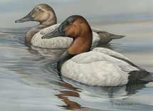 duck stamp
